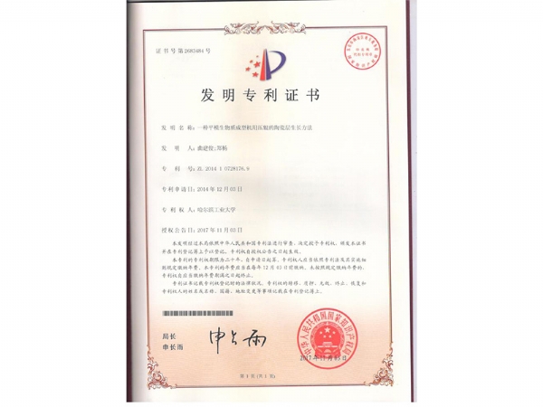 专利