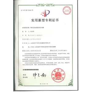 专利